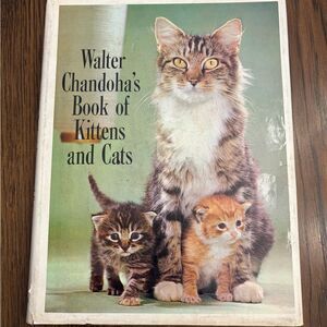 Chandoha’s Book of Kittens and Cats photography - vintage hardback.  1970’s.
